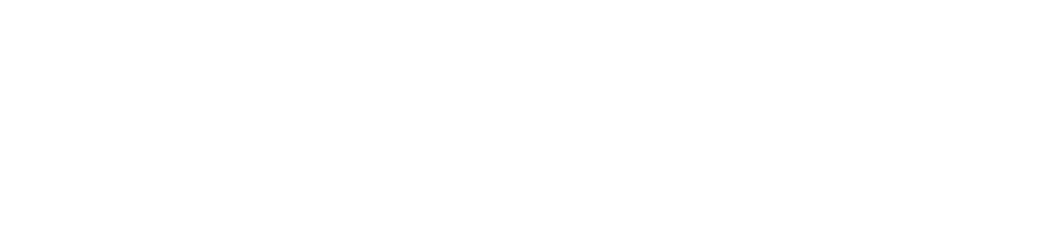 Cyber R