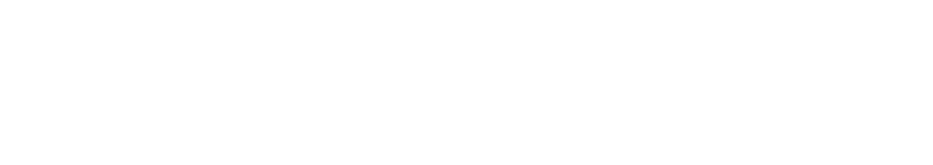 Colt Speed