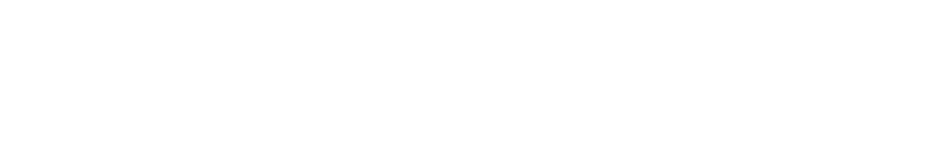 Sport Technic