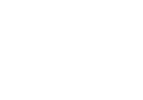 Car Make T&E