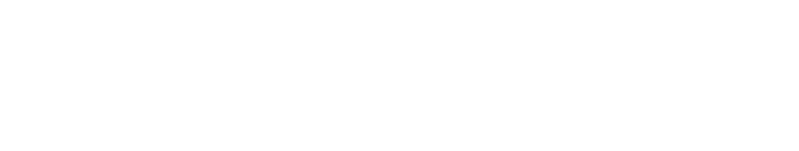 DIXCEL