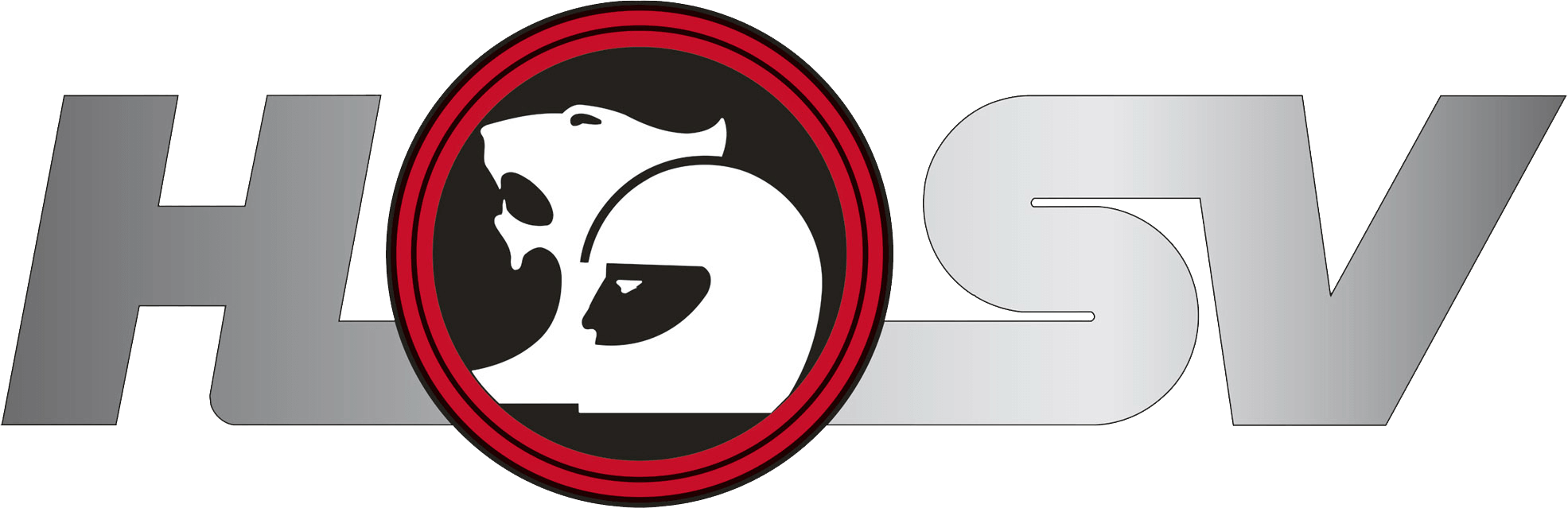 HSV