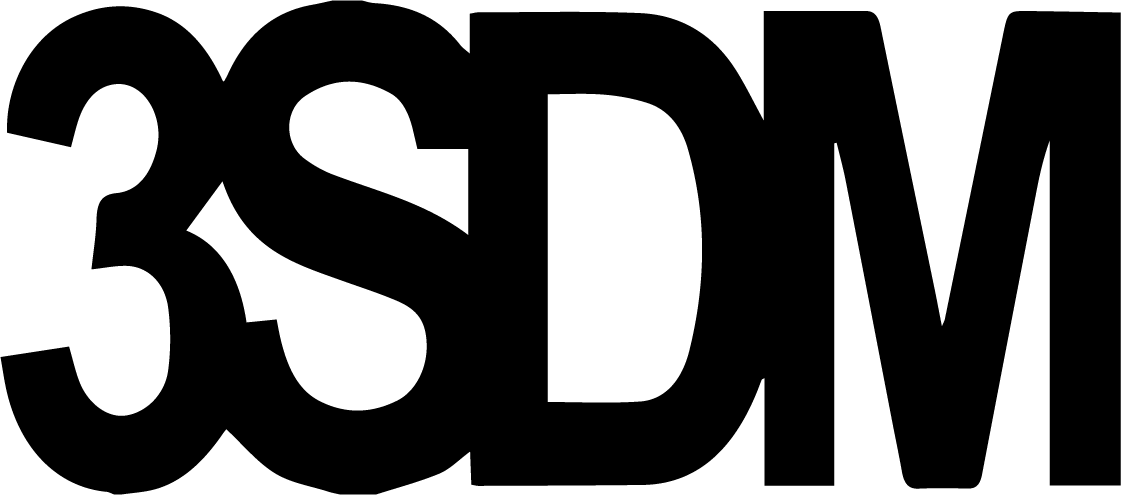 3SDM