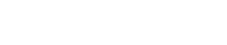 Fujita Engineering