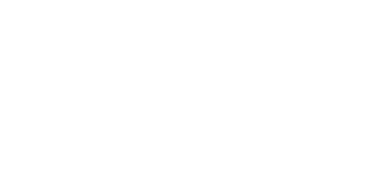 Dog Fight Pro