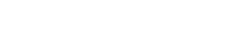 Modellista