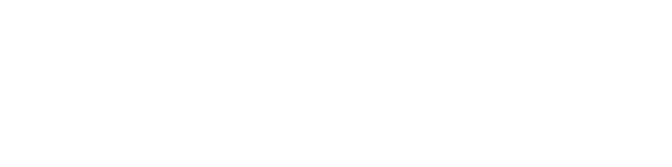 D Sport