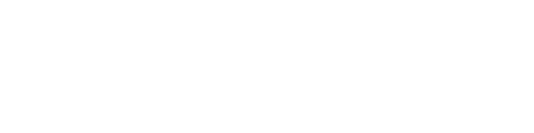 AMUSE