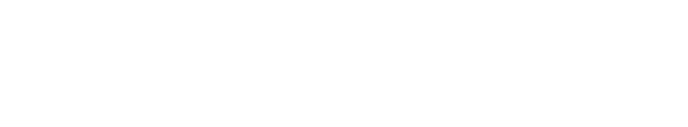 Raybrig
